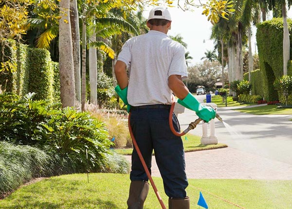 About Delancey NY Pest Control